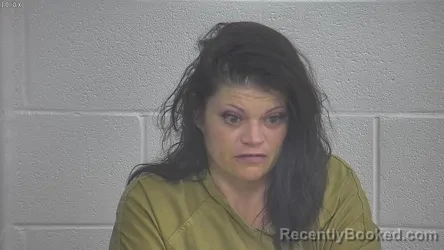 Mugshot of ERICA JOHNS