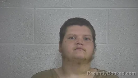 Mugshot of FRANK JAMES HARRIS booked in Laurel County, Kentucky on June 30, 2026