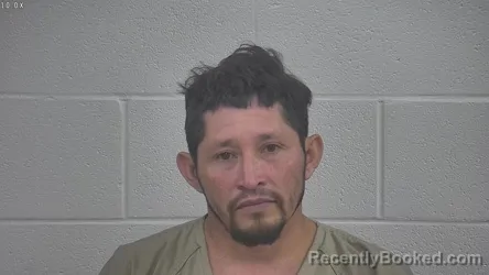 Mugshot of GUILLERMO VASQUEZ-ORELLANA
