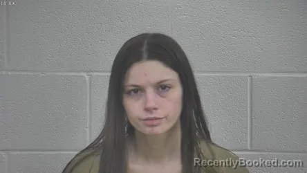 Mugshot of HOLLY JOHNSON