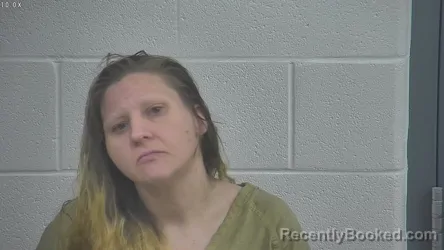 Mugshot of KASIE ABNER