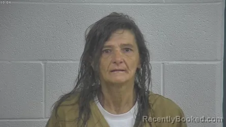 Mugshot of KRISE MULLINS booked in Laurel County, Kentucky on May 7, 2026