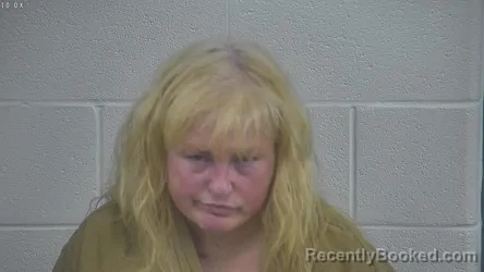 Mugshot of LOLITA HACKER