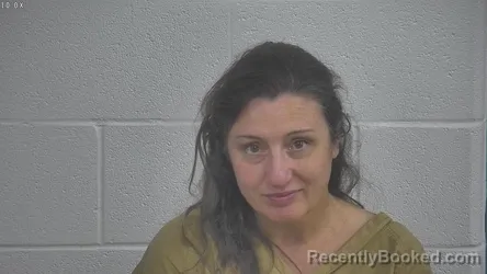 Mugshot of Lisa Yim booked in Laurel County, Kentucky on September 13, 2026
