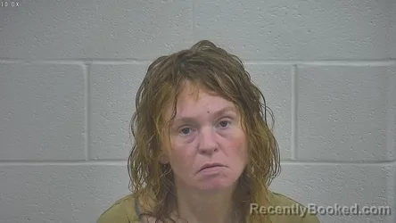 Booking photo from Laurel County, Kentucky