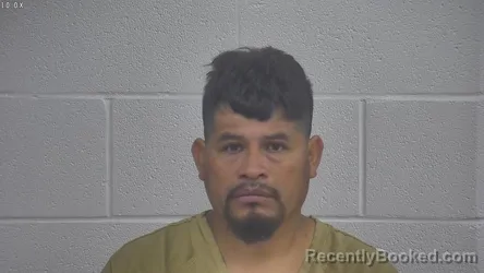 Mugshot of MATEO TORRES-MORALES
