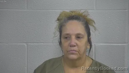 Mugshot of MICHELLE TOLLEY booked in Laurel County, Kentucky on June 24, 2026