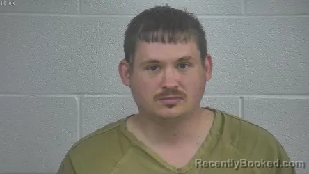 Mugshot of MICHAEL WILLIAMS