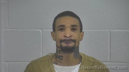 Mugshot of NIKITA M JENKINS