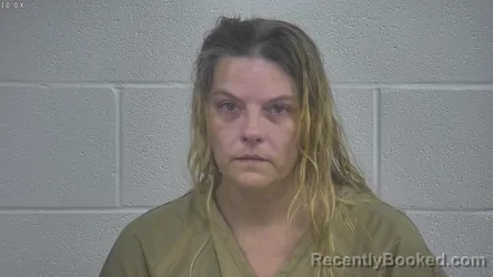 Mugshot of Nicolette L Johnson booked in Laurel County, Kentucky on August 20, 2026