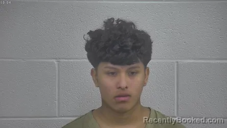 Mugshot of RAFAEL ANDRES-MATIAS