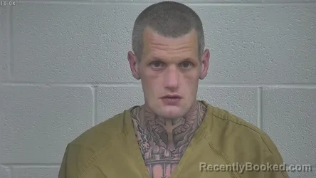 Mugshot of ROBERT COLLINS