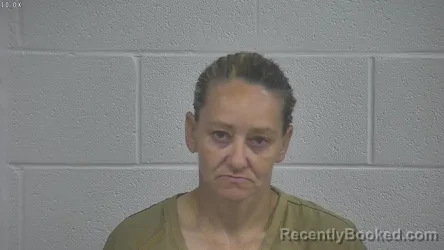 Mugshot of TARESA COLLINS booked in Laurel County, Kentucky on June 29, 2026