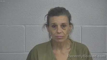 Mugshot of TAMMY HOPKINS booked in Laurel County, Kentucky on June 25, 2026