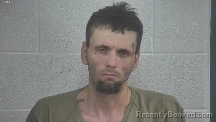 Mugshot of TIMOTHY REYNOLDS