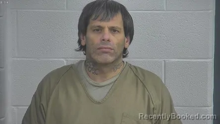 Mugshot of TIMOTHY RAY STEELMAN