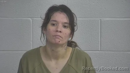 Mugshot of TESIA TERRY booked in Laurel County, Kentucky on June 23, 2026