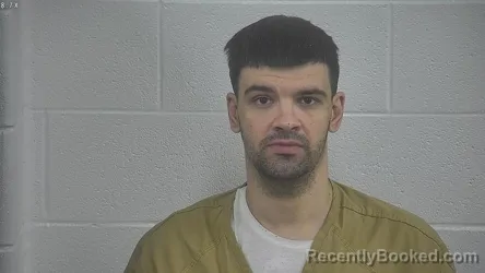Mugshot of ZACHARY DAVID HILEMAN