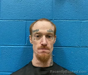 Mugshot of JOHN LEE ANSTEAD booked in McDowell County, North Carolina on July 9, 2026