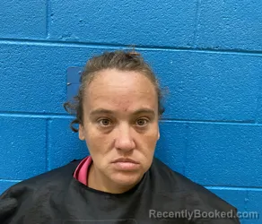 Mugshot of ERIKA BROOKE JAMESON booked in McDowell County, North Carolina on June 28, 2026