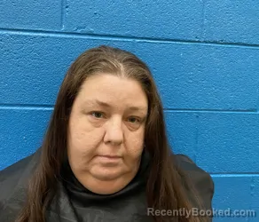 Mugshot of Brandy Nicole Ledford booked in McDowell County, North Carolina on October 9, 2026