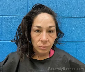 Mugshot of ASHLEY DANIELLE WINEBARGER booked in McDowell County, North Carolina on March 8, 2026