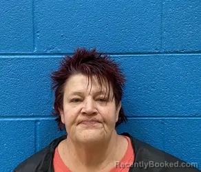 Booking photo from McDowell County, North Carolina