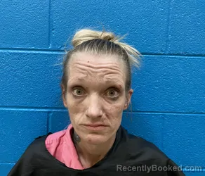 Mugshot of RACHEL LYNN MCPETERS
