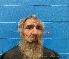 Mugshot of TERRY DALE MANIS