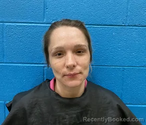 Mugshot of SHANNON NICOLE MILLS booked in McDowell County, North Carolina on June 7, 2026