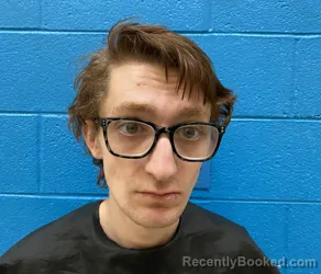 Mugshot of TIMOTHY DALE LEDFORD