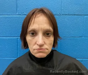 Mugshot of SORIDA MARIA GAIN booked in McDowell County, North Carolina on June 21, 2026