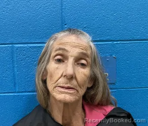 Mugshot of LINDA SUSAN HENDRIX booked in McDowell County, North Carolina on March 9, 2026
