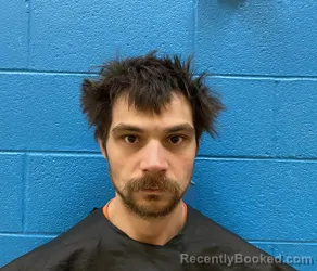 Mugshot of BRETT MICHAELS GRUNDEN