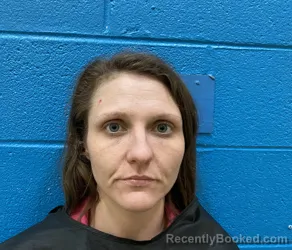 Mugshot of AMANDA DAWN BOONE