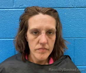 Mugshot of SOSHA NICOLE PETERS booked in McDowell County, North Carolina on June 20, 2026