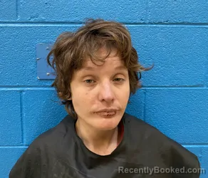 Mugshot of JESSICA LINDSAY HARRIS