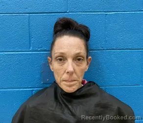 Booking photo from McDowell County, North Carolina