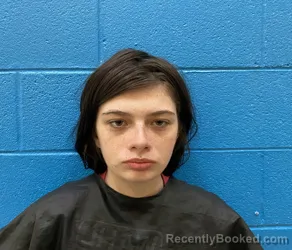 Mugshot of FURIE NIKAYLA BENGE booked in McDowell County, North Carolina on March 29, 2026