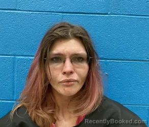 Booking photo from McDowell County, North Carolina