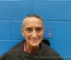 Mugshot of PAMELA DENISE LOGAN booked in McDowell County, North Carolina on April 2, 2026