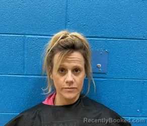 Mugshot of MEGAN MARIE GILLILAND