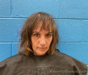 Mugshot of NICHOLE FAYE BRADLEY