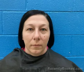 Mugshot of BRITTANY LYNETTE PROFFITT booked in McDowell County, North Carolina on March 27, 2026