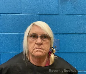 Mugshot of Terry Jo Lowery booked in McDowell County, North Carolina on August 27, 2026