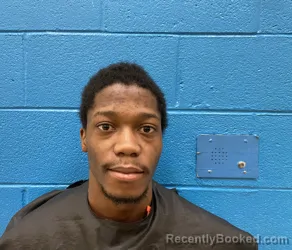 Mugshot of ELVIS JONTAE EVANS booked in McDowell County, North Carolina on March 31, 2026