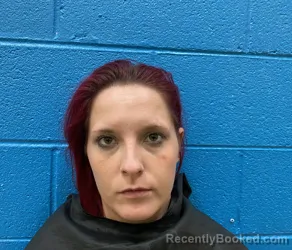 Mugshot of ALEXIS NICOLE LAWING booked in McDowell County, North Carolina on March 6, 2026