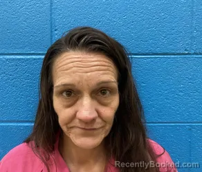 Mugshot of MISTY RENEE LIDSTER booked in McDowell County, North Carolina on March 7, 2026