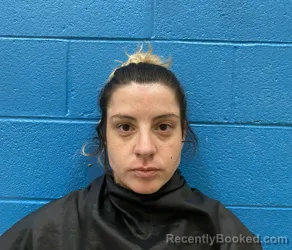 Mugshot of TAYLOR L CALLAHAN booked in McDowell County, North Carolina on July 10, 2026
