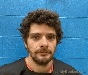 Mugshot of JONATHAN ROBERT LEE